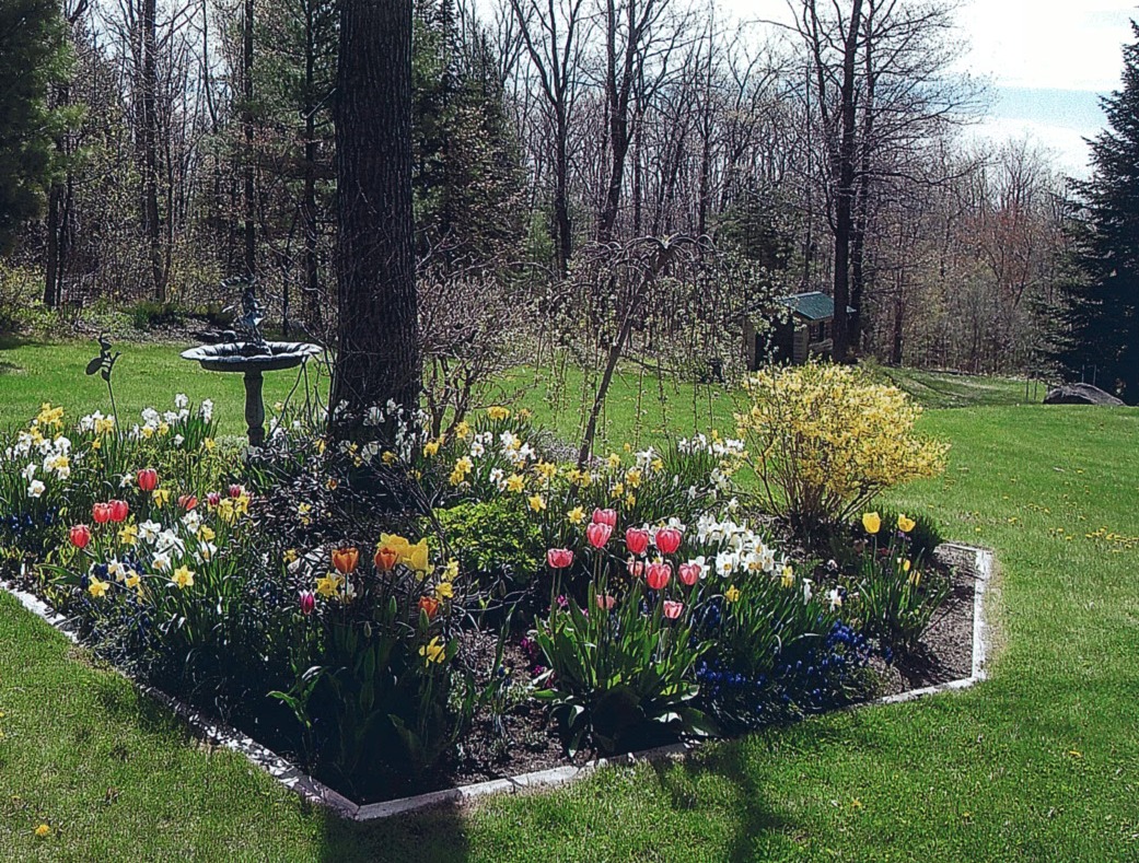 Pictures of Pilgrim's Rest